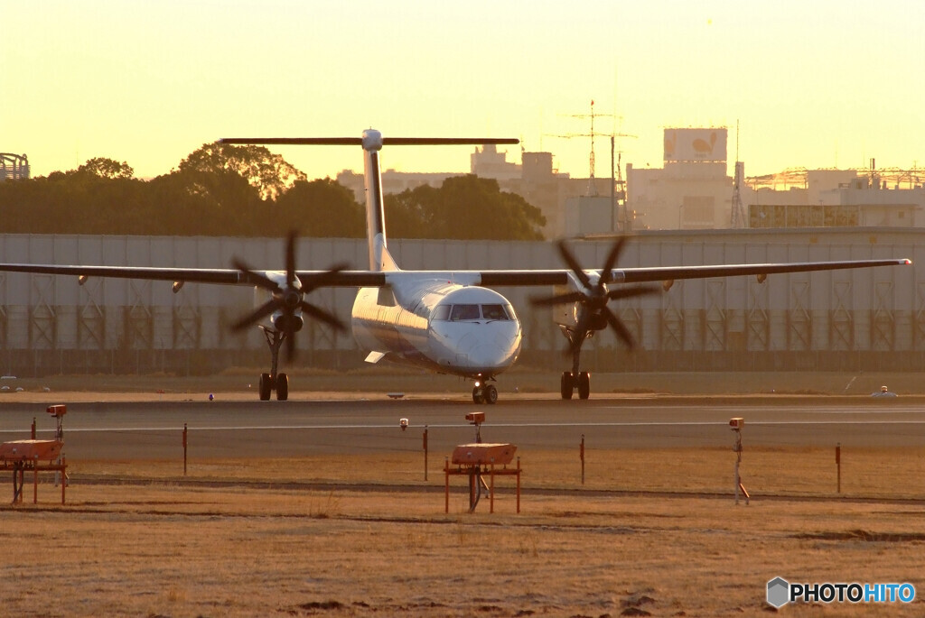 2月の旅人Ⅵ✈Bombardier 