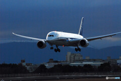 December 25thⅡ★Boeing 787-9