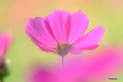 心に火をつけて❁秋2021