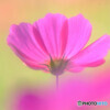 心に火をつけて❁秋2021