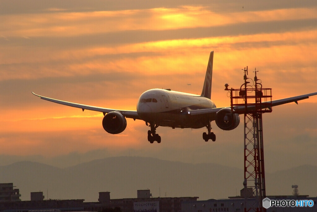Morning Star★ANA Boeing 787-8