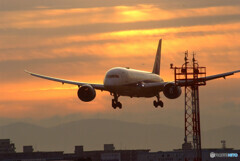 Morning Star★ANA Boeing 787-8