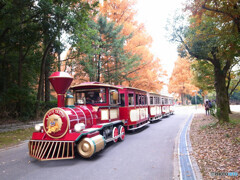 Ａ列車で行こう！紅葉の旅へ