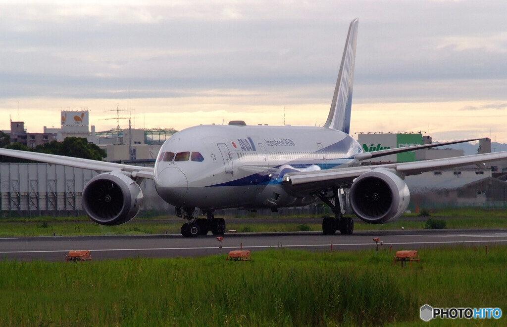 2021夏の想い出Ⅱ✈ANA Dreamliner