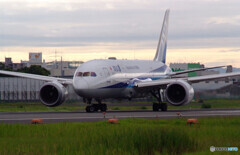 2021夏の想い出Ⅱ✈ANA Dreamliner