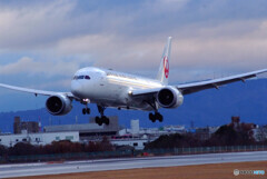 蒼の世界✈Boeing 787-8