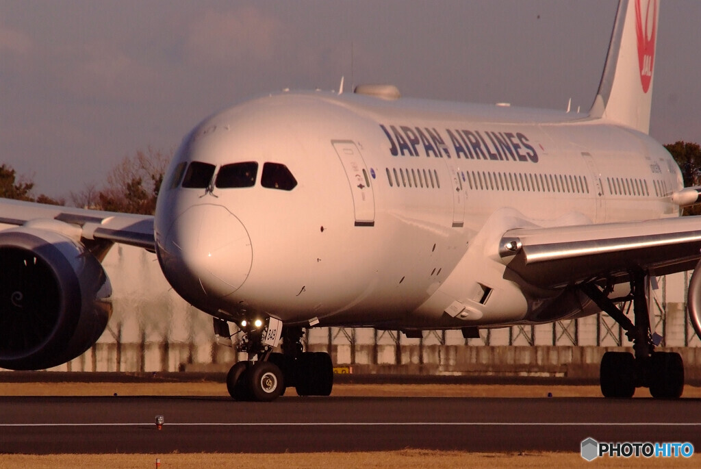 俺の空へⅢ✈787-8Dreamliner