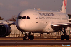 俺の空へⅢ✈787-8Dreamliner