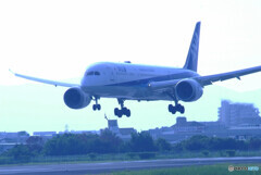 ようこそ✈Boeing 787-9 Dreamliner 