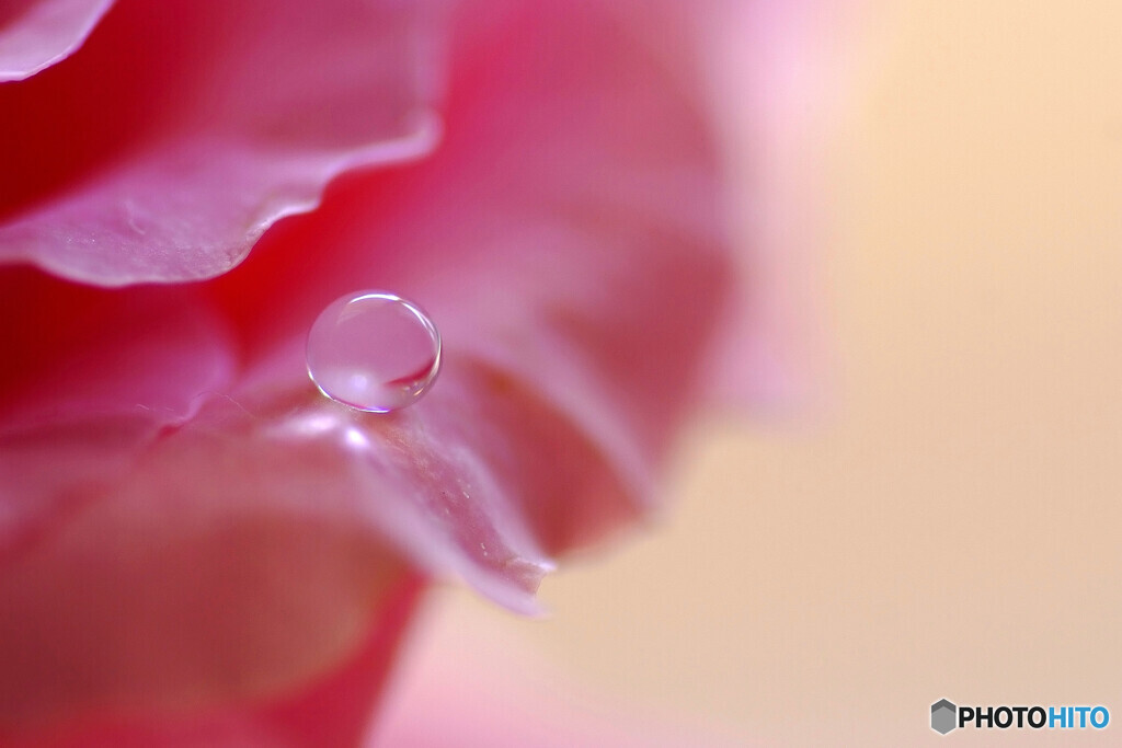 癒しの時間✾雫