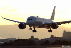 Brand New Day2022✈HARADA