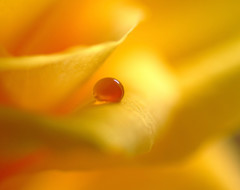 琥珀の想い・雫（Ⅱ）