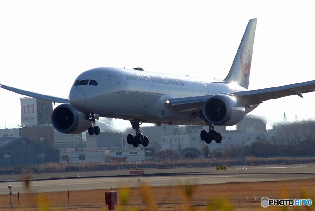 睦月の空✈Boeing 787-8