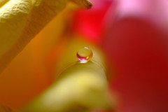 光の軌跡Ⅰ・雫