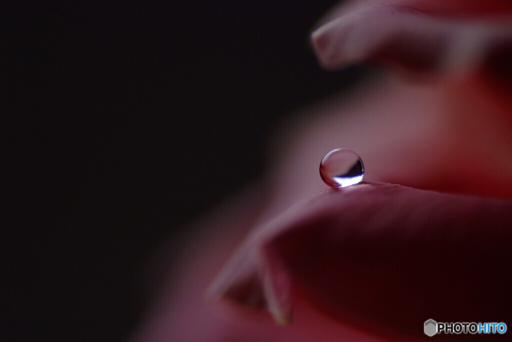 月の雫Ⅵ❁和心