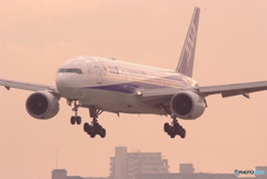 艶・Boeing 777
