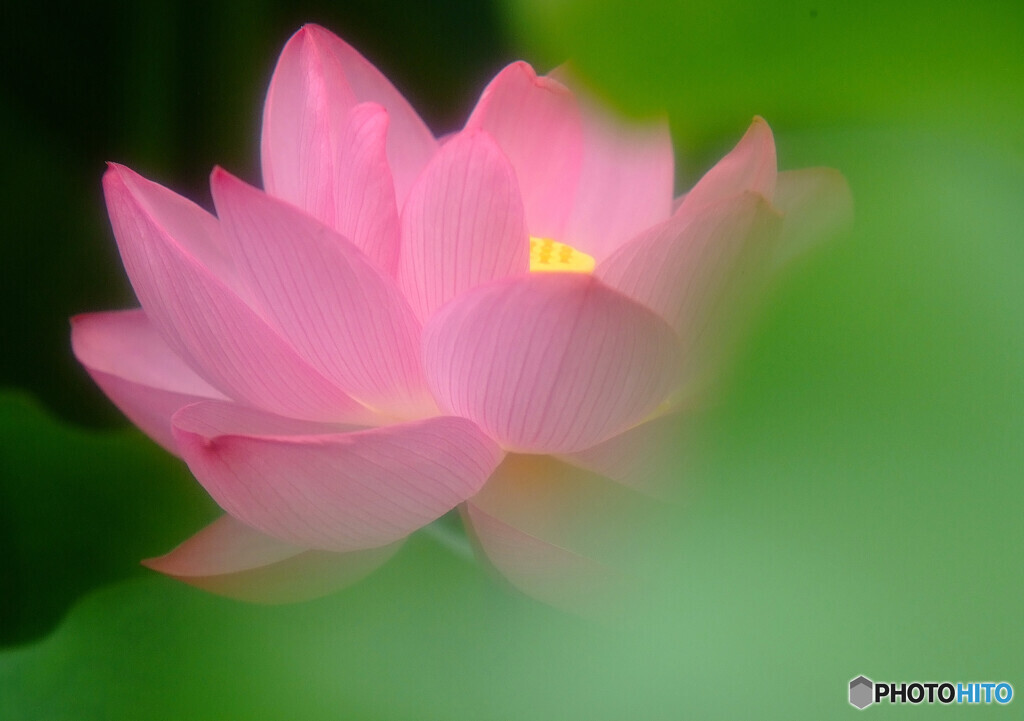 Moment of Crush・華