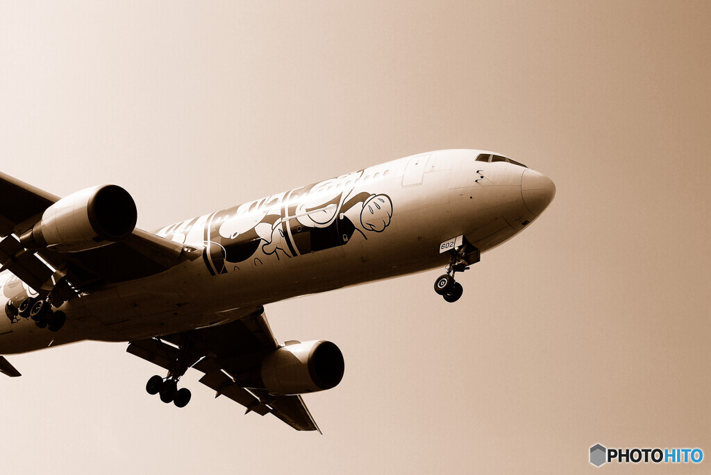 南の空から✈MICKEY