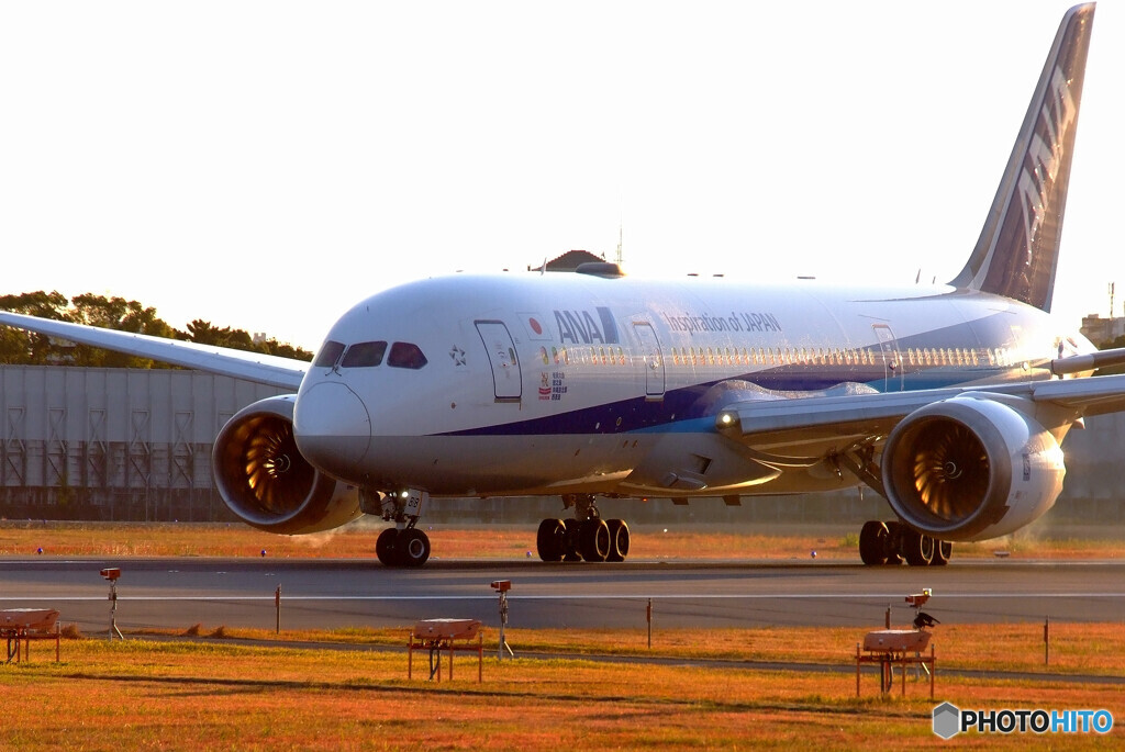 HARADAの朝✈787-8 Dreamliner
