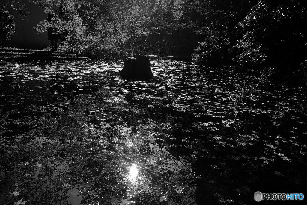 沈黙の紅葉・2016