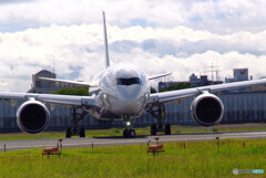 Endless SummerⅢ✈JA09XJ