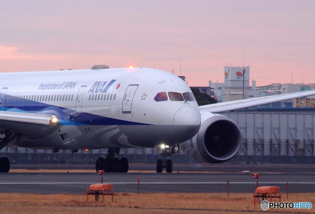Natural ColorⅢ・Dreamliner