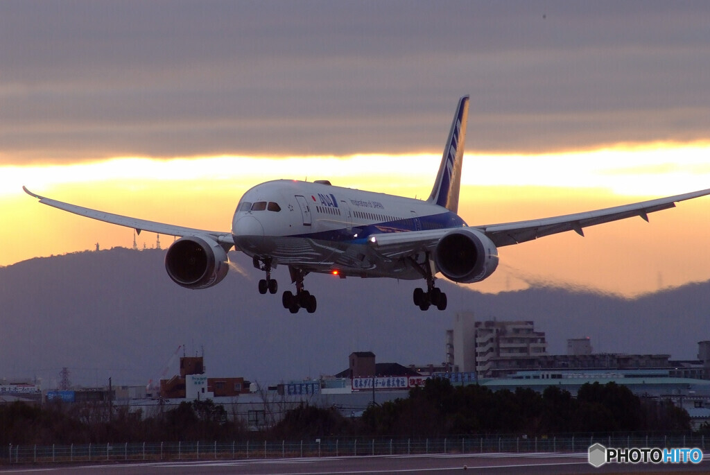 JAPANの朝Ⅹ✈永遠の翼