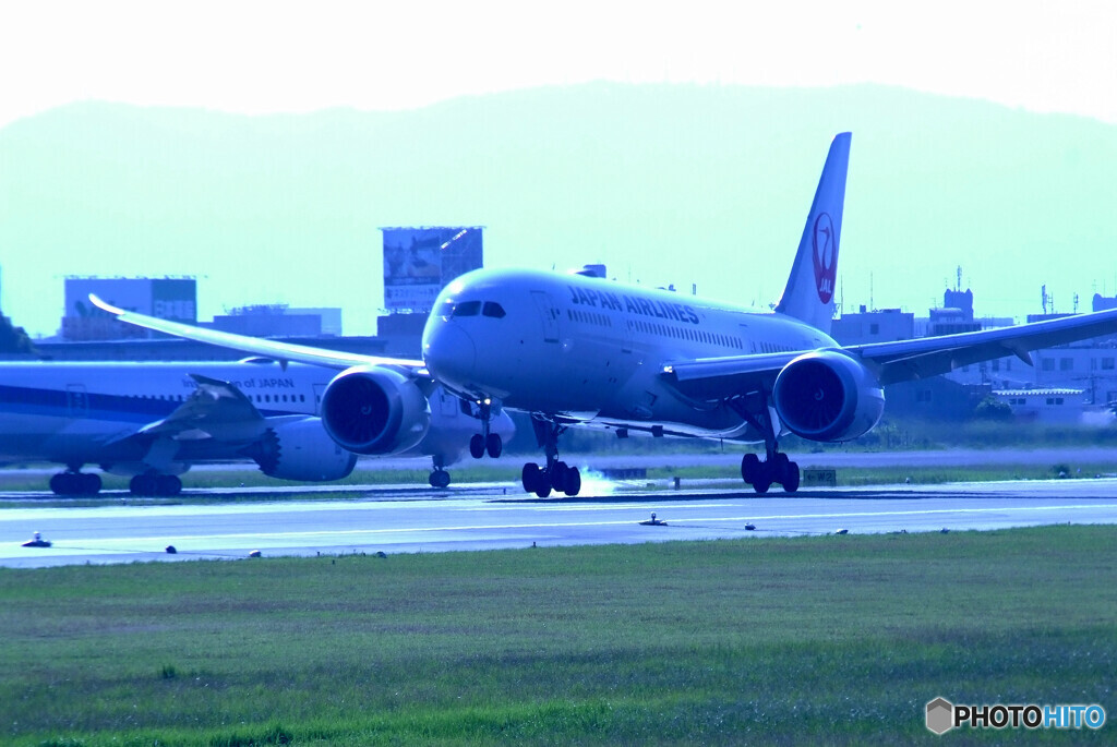 夏！魅せられて✈Dreamliner 