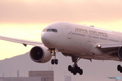 Beautiful MorningⅣ・777