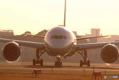 Morning Shot・787-9 Dreamliner 