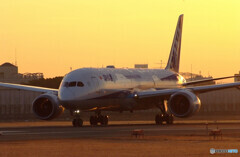 立春の朝✈Boeing 787-9Dreamliner