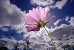 My Treasure・輝き