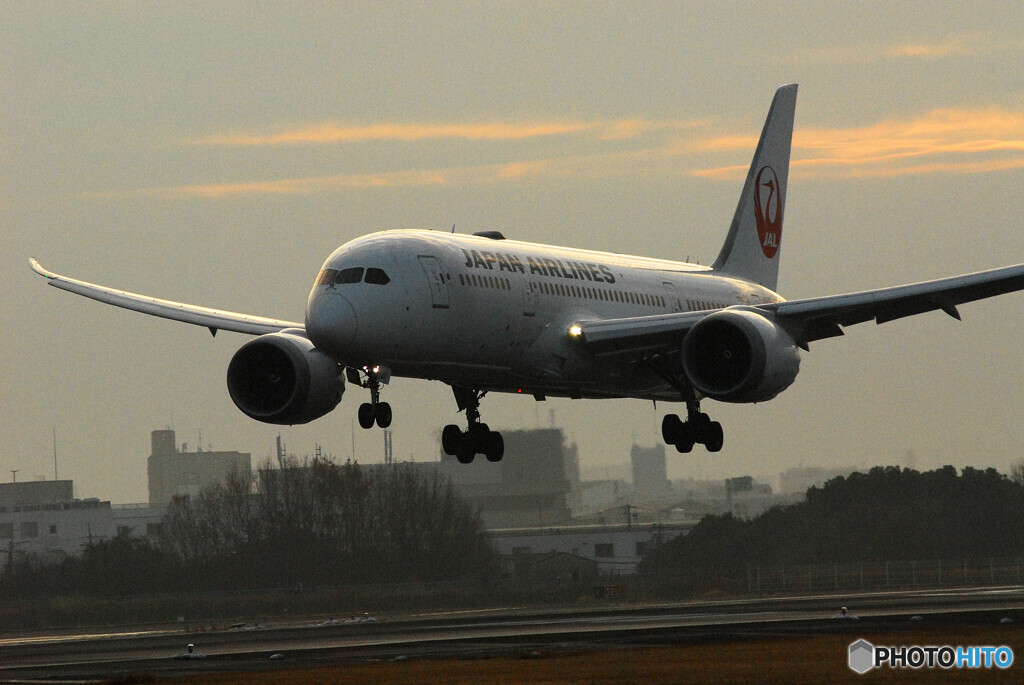 朝焼けの旅路へⅣ✈787Dreamliner 
