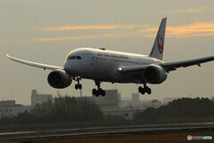 朝焼けの旅路へⅣ✈787Dreamliner 