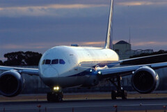 睦月の翼✈Boeing787-8
