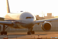 会いにいこうⅣ✈ANA Boeing777-200