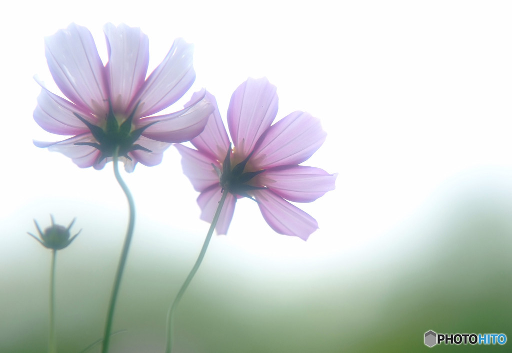 My Treasure・出会い