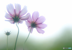 My Treasure・出会い