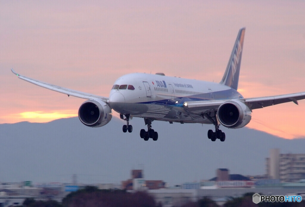 Natural Color・787