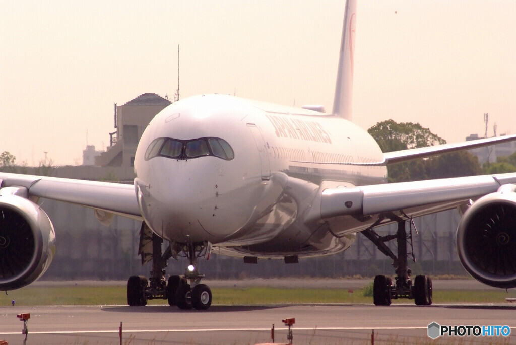 SKY LANDの朝 Ⅱ✈A350-900