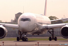 SKY LANDの朝 Ⅱ✈A350-900