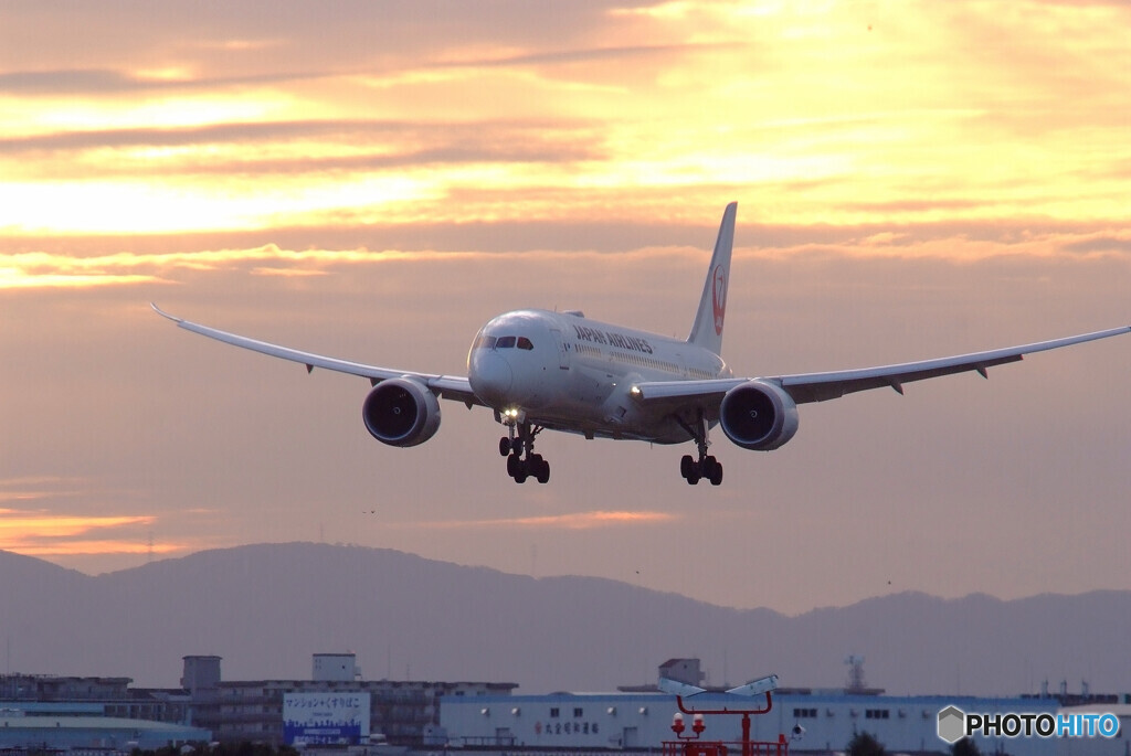 Happy FlightⅡ✈ Dreamliner 
