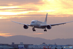 Happy FlightⅡ✈ Dreamliner 