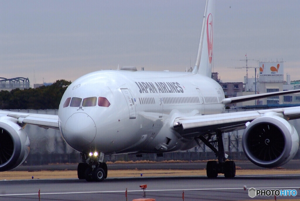 NextStage✈JAL Boeing 787-8
