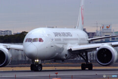 NextStage✈JAL Boeing 787-8