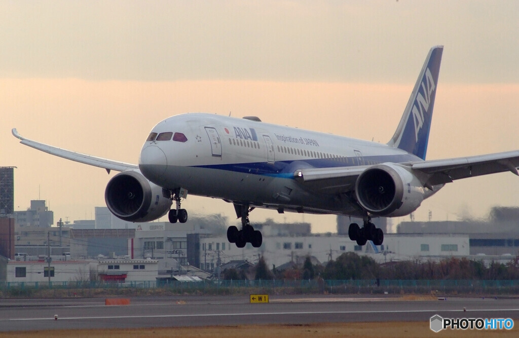 ITMのOasis✈Boeing787-8