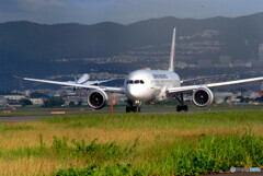 Another Sky✈JALの翼