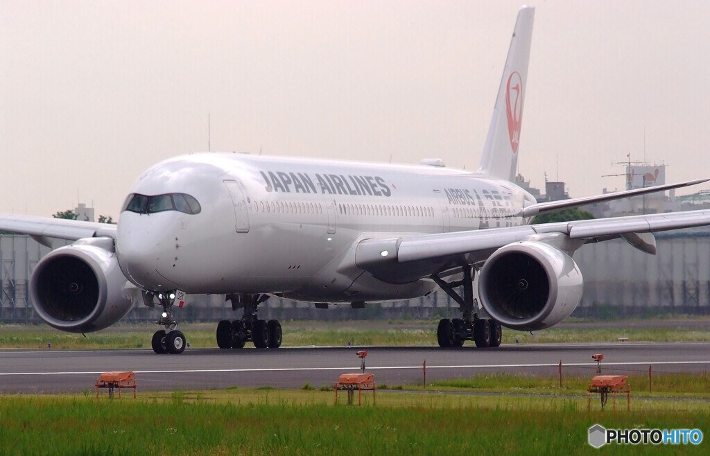 HARADAの朝✈A350 No2