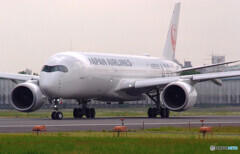 HARADAの朝✈A350 No2