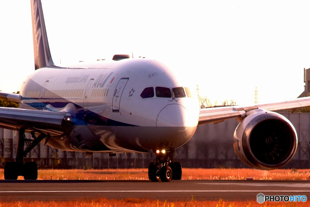 出撃！Boeing 787-8 Dreamliner